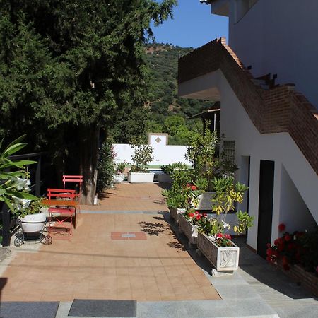 Ferienwohnung Apartamento Guadiaro 3 Ainhoa Benaoján Exterior foto